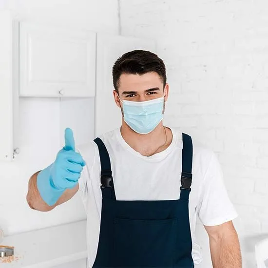 Servicios profesionales de control de plagas