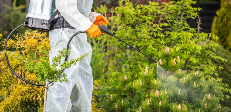 PlagasCero – Expertos en fumigación y control de plagas en Orihuela, Alicante y alrededores