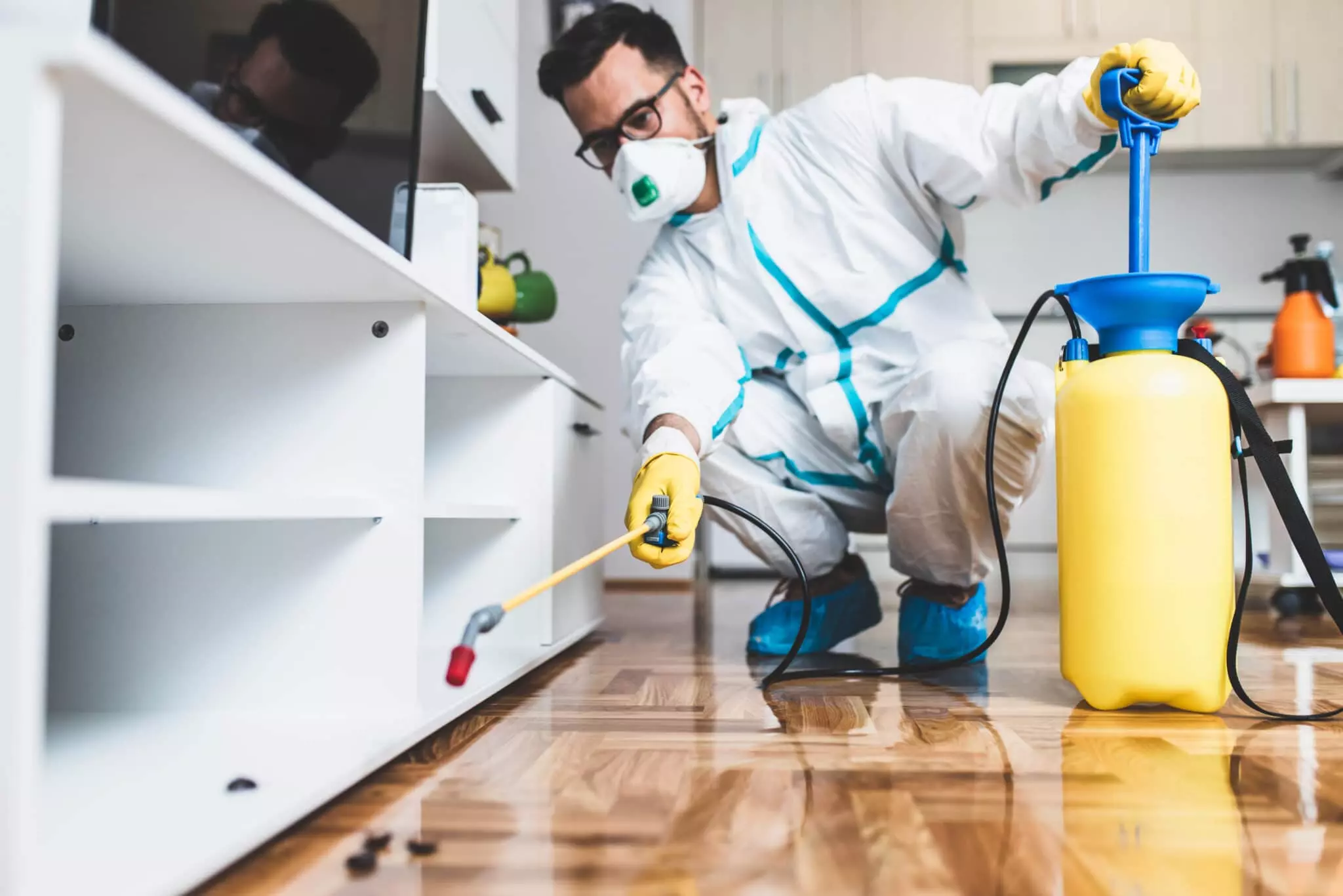 PlagasCero – Expertos en fumigación y control de plagas en La Zenia, Alicante y alrededores
