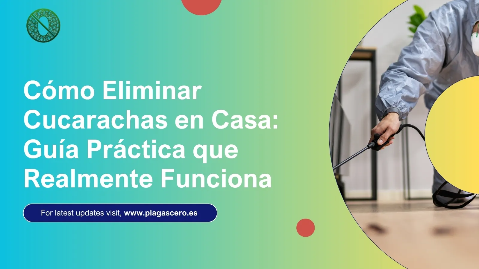 Cómo Eliminar Cucarachas en Casa: Guía Práctica que Realmente Funciona