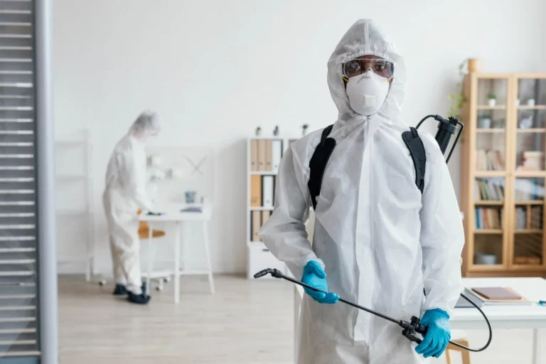 PlagasCero – Expertos en fumigación y control de plagas en Dolores, Alicante y alrededores
