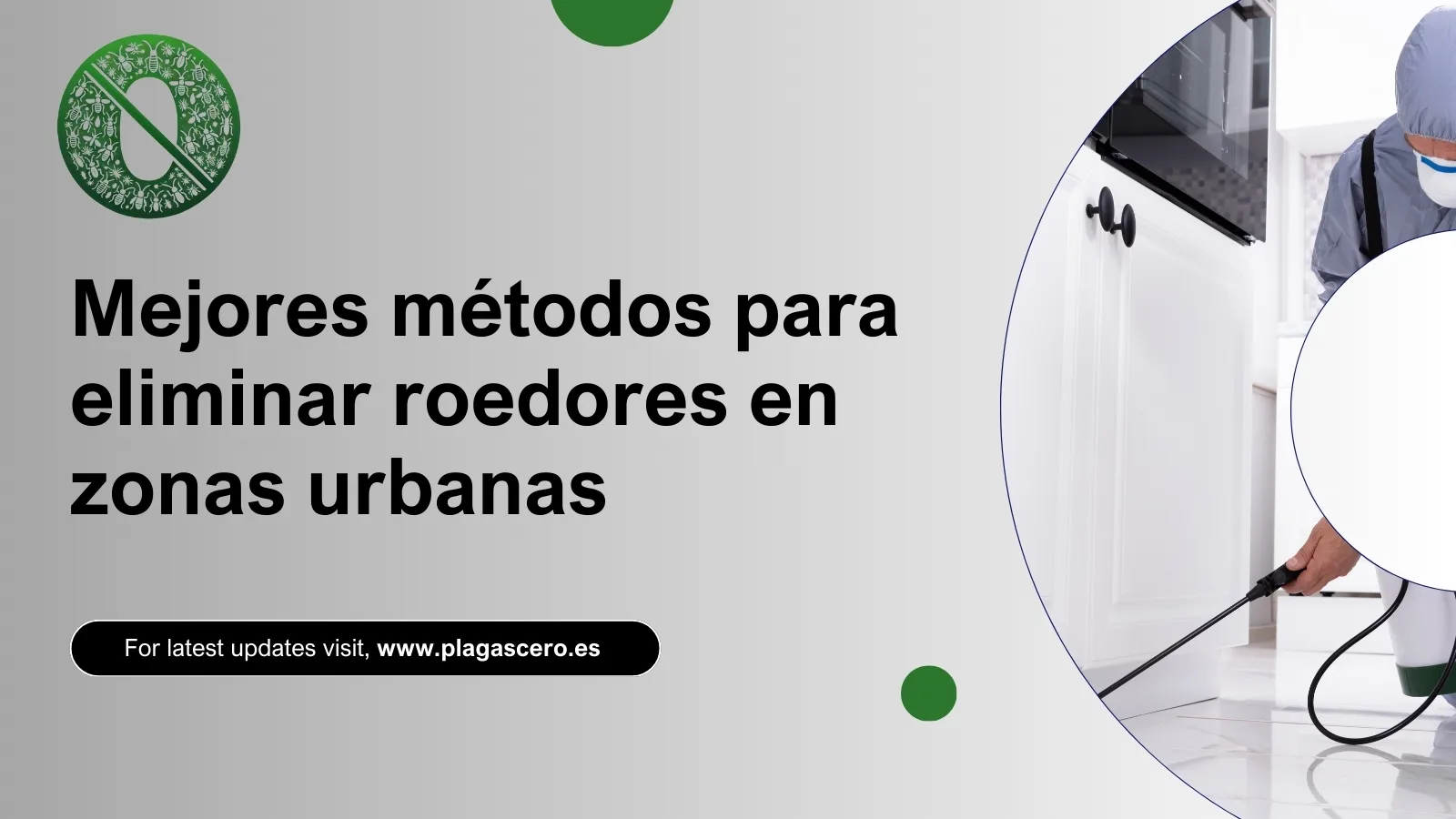 Mejores métodos para eliminar roedores en zonas urbanas