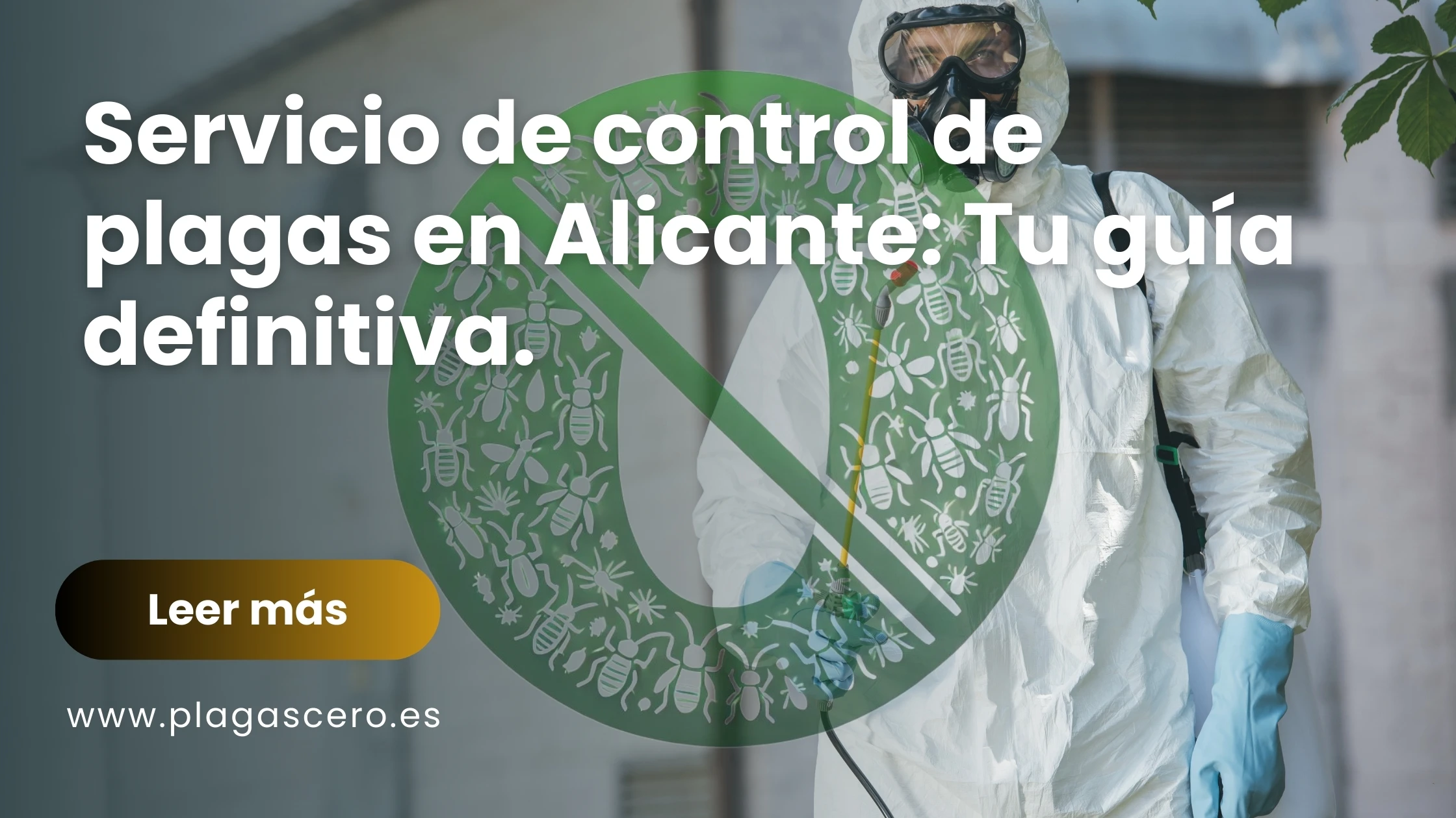 Servicio de control de plagas en Alicante: Tu guía definitiva