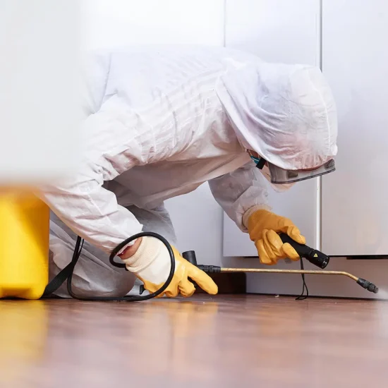 Pest-Control-Home