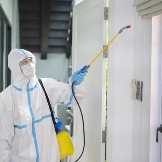 a-medical-staff-in-ppe-suit-is-using-disinfectant-spray-in-living-room-covid-19-protection-disinfection-concept-free-photo control de plagas en Orihuela Costa