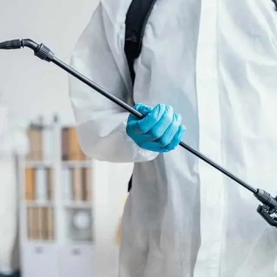 Fumigación de plagas económica en Pilar de la Horadada, Alicante y alrededores – Servicio profesional, rápido y eficaz Fumigación de plagas económica en Pilar de la Horadada, Alicante y alrededores – Servicio profesional, rápido y eficaz