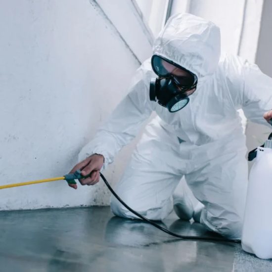 servicio de fumigación económico en Orihuela